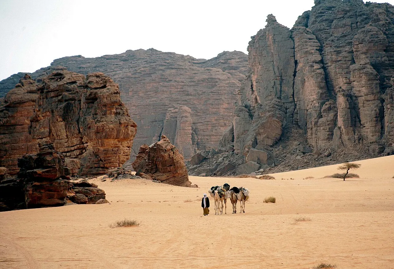 طاسيلي ناجر